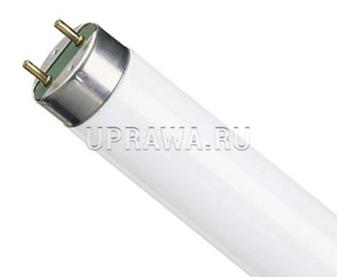 G13 18W L18W/765 Osram 4008321959669 лампа люминесцентная (ЛБ18) - ГК ...