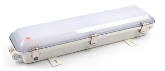 GL-250SD-100674 21W 230VAC IP67 4000K (БАП) АМЭО светильник светодиодный аварийный