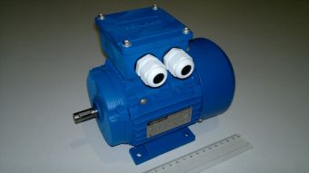 АИР56В4 ОМ5 0,18kW 1500rpm 220/380V Л электродвигатель морского исполнения