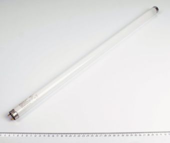 G13 18W L18W/840 4050300517797 Osram лампа люминесцентная 